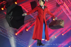 Penguin-Tappers-Show-Mary-Poppins-Flug