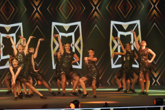 32_Show2026_20260117204952_029