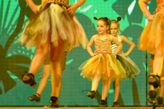 show-2022-60