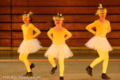 Show_Time2021_Bilder_Hardy_18