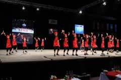 HS4M0173